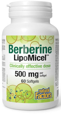 Berberine LipoMicel - 2 SIZES AVAILABLE