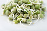 Mumm's Organic Sprouting Seeds - Green Peas