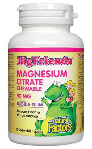 Big Friends Magnesium Chewable for Kids