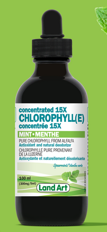 Chlorophyll 15x Concentrate - Mint 100ml