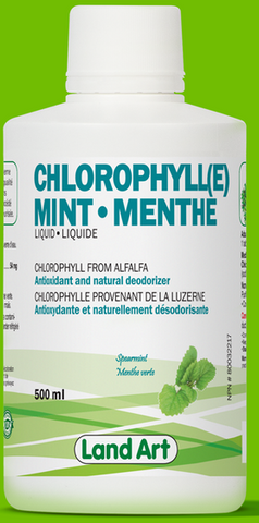 Chlorophyll Liquid - Mint 500ml
